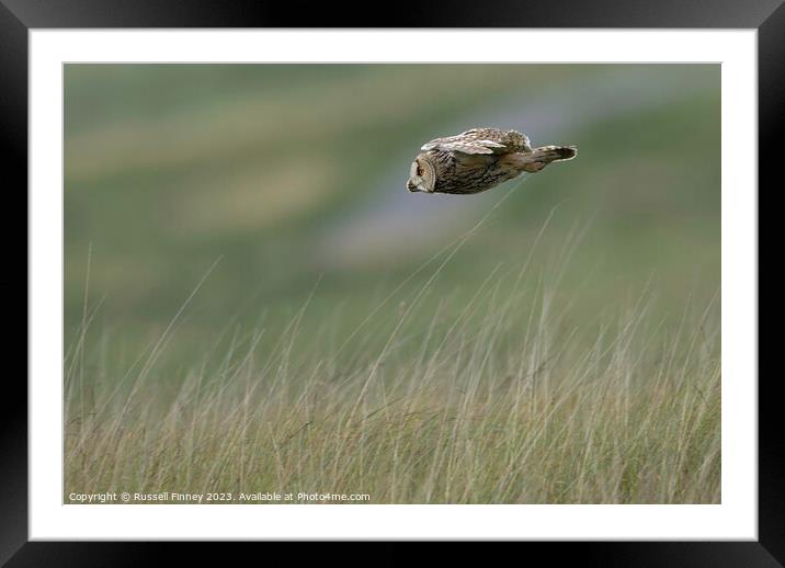 Long Eared Owl flying looking for prey Framed Mounted Print by Russell Finney