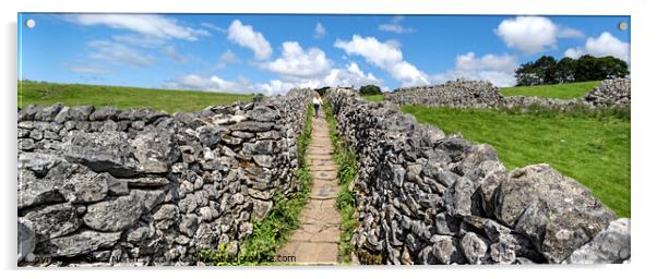 Dry stone walls of Grassington in the Yorkshire Dales. Acrylic by Chris North