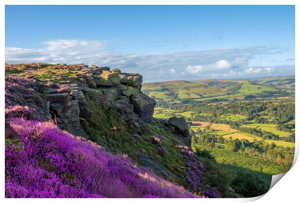 Bamford Edge Heather Print by Steve Smith