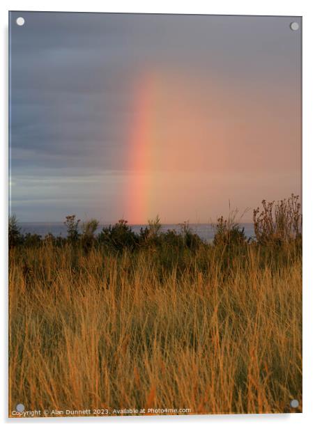 The Verdant Pasture's Rainbow Acrylic by Alan Dunnett