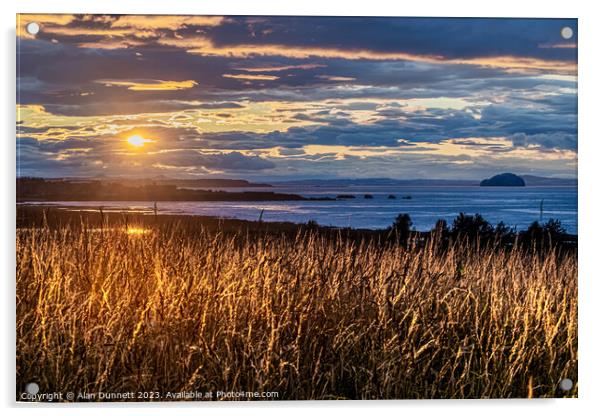 Golden Hour Over Verdant Pasture over Dunbar Acrylic by Alan Dunnett