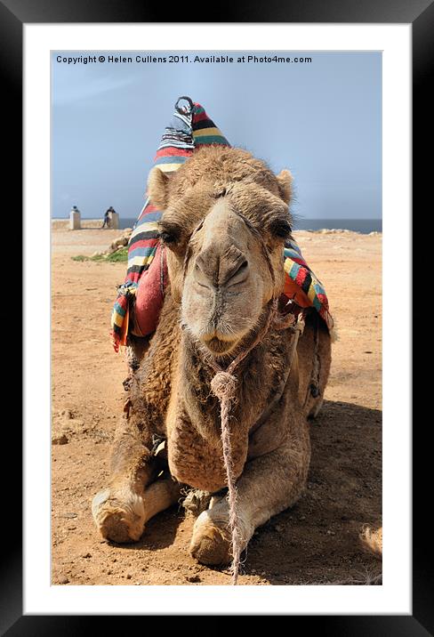 MOROCCAN CAMEL Framed Mounted Print by Helen Cullens