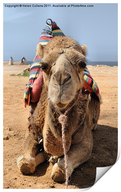 MOROCCAN CAMEL Print by Helen Cullens