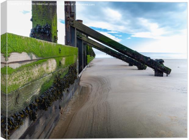 Sea Defence  Canvas Print by Martin Newman