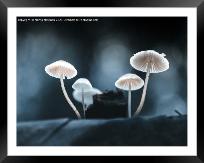 Fungi Details Framed Mounted Print by Martin Newman