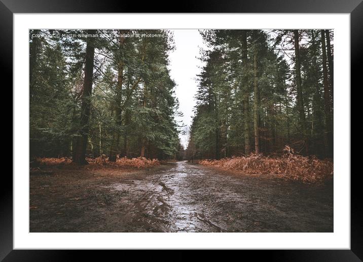 Rendelsham Forest Framed Mounted Print by Martin Newman