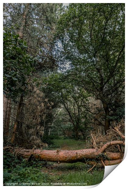 Pathway through Dunwich Forest Print by Kirsty Barber