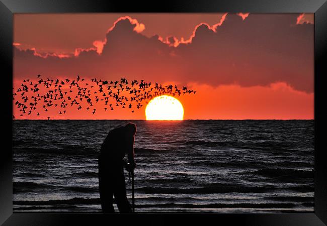 The Sunset Wormer Framed Print by Jason Connolly