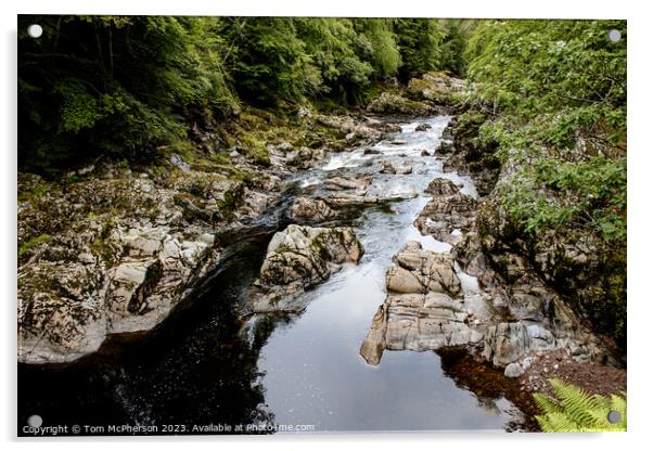 Highland's Longest: The Findhorn River Acrylic by Tom McPherson