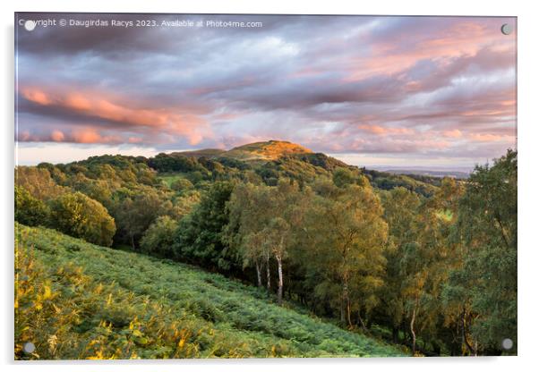 Malvern Hills spectacular view Acrylic by Daugirdas Racys