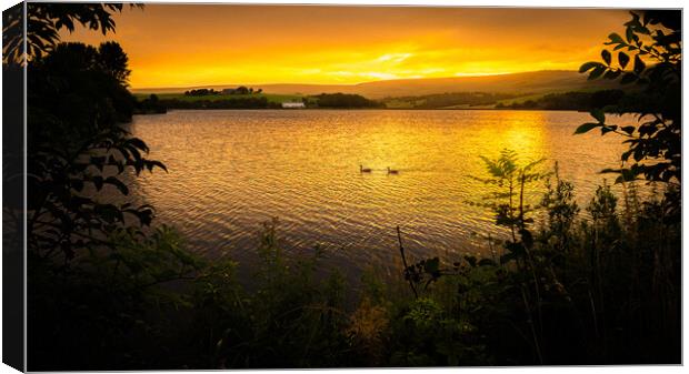 Sunrise at Hollingworth Lake, Littleborough. Canvas Print by DAVID FRANCIS