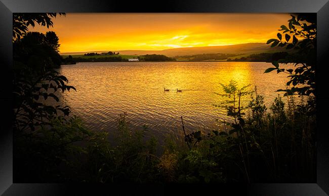 Sunrise at Hollingworth Lake, Littleborough. Framed Print by DAVID FRANCIS