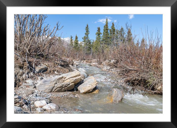 Savage River Tributary in Denali National Park in Alaska, USA Framed Mounted Print by Dave Collins