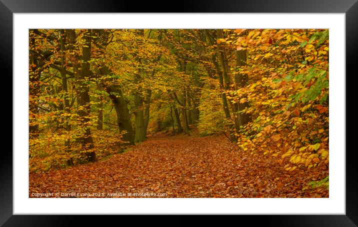 Autumn Path Framed Mounted Print by Darrell Evans