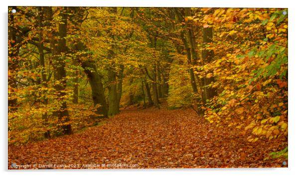 Autumn Path Acrylic by Darrell Evans