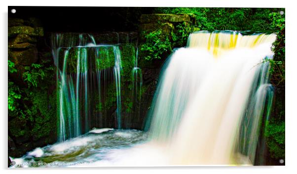 Jesmond Dene Waterfall Acrylic by Richard Fairbairn