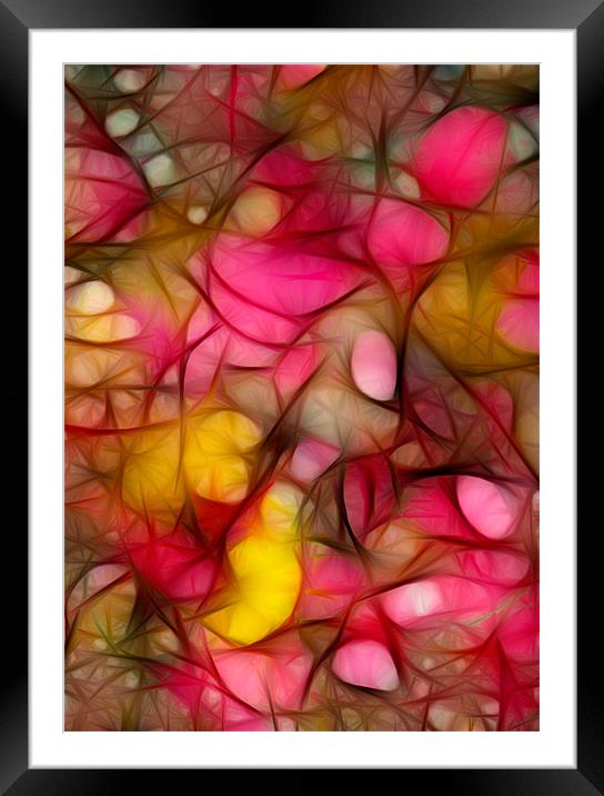 Firebush In Autumn Framed Mounted Print by Kathleen Stephens