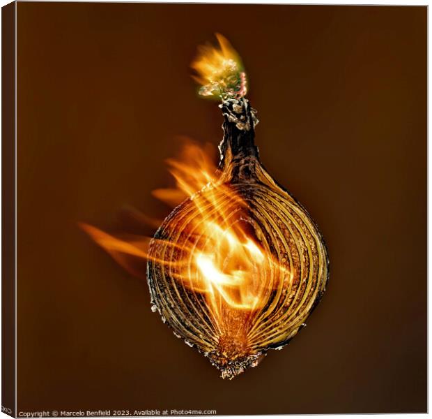 Burning onion Canvas Print by Marcelo Benfield
