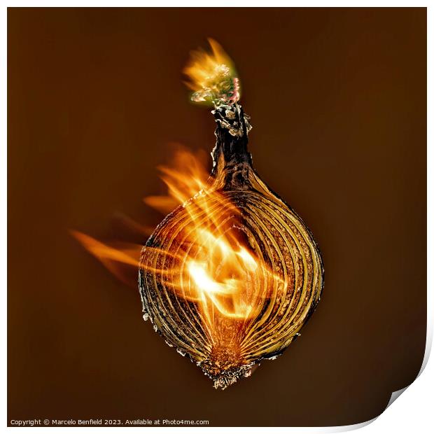 Burning onion Print by Marcelo Benfield