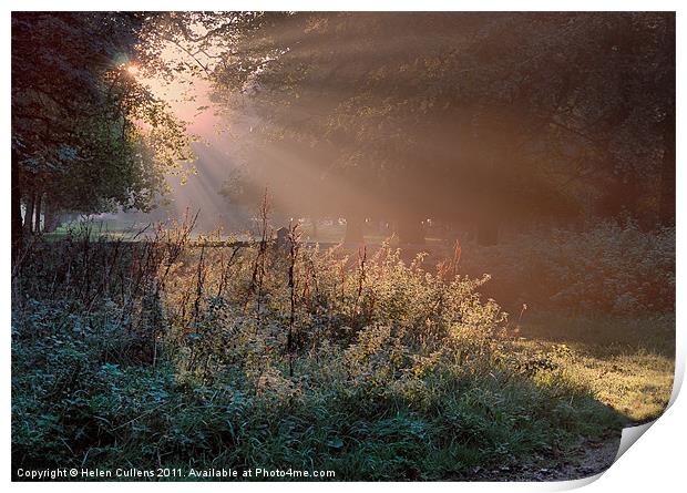SHAFTS OF LIGHT Print by Helen Cullens