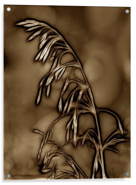 Wild Grass in Sepia Acrylic by Kathleen Stephens