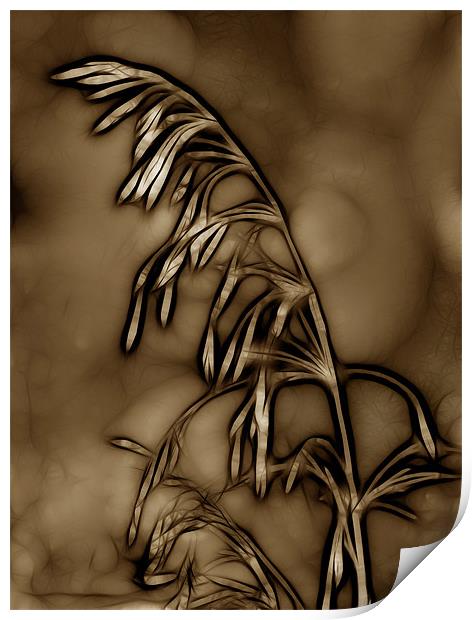 Wild Grass in Sepia Print by Kathleen Stephens