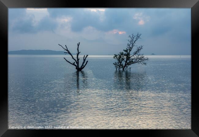 Dead and alive Framed Print by Kevin Hellon