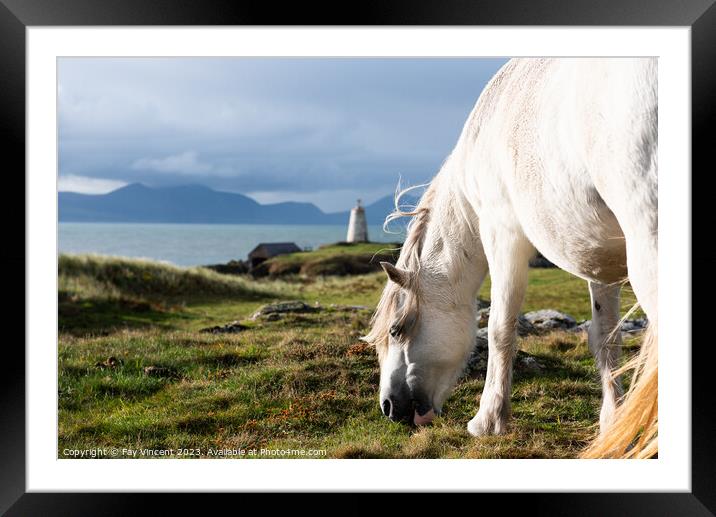 A horse standing by coastal lighthouse scene Goleudy Tŵr Mawr, Anglesey Framed Mounted Print by Fay Vincent