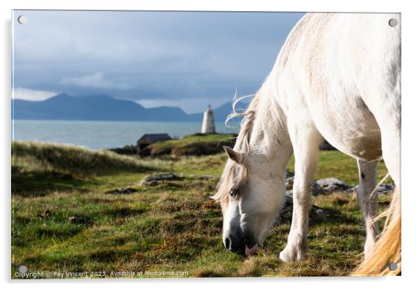 A horse standing by coastal lighthouse scene Goleudy Tŵr Mawr, Anglesey Acrylic by Fay Vincent