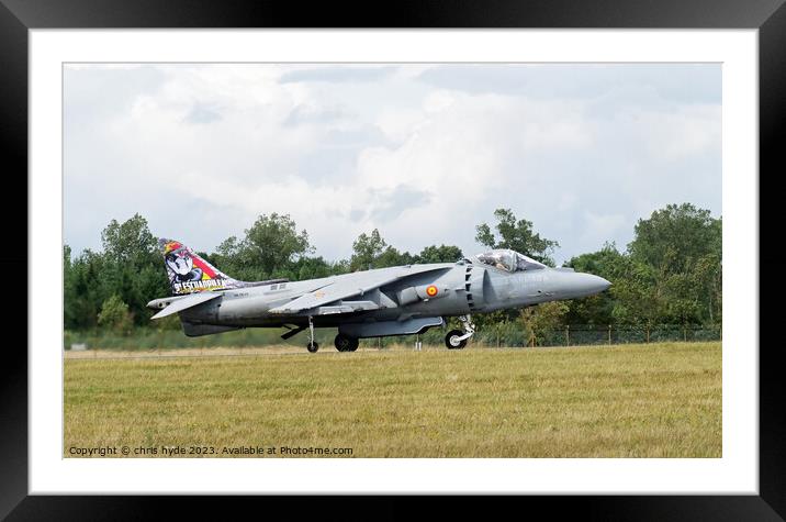 Spanish Harrier Framed Mounted Print by chris hyde