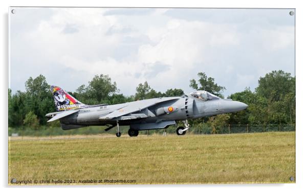 Spanish Harrier Acrylic by chris hyde