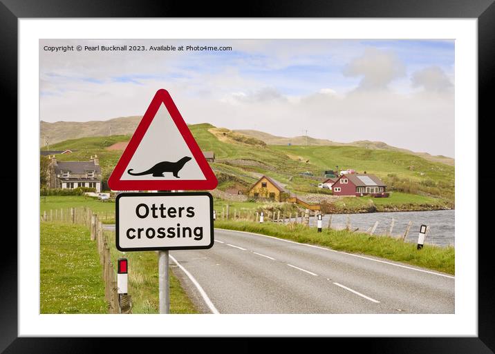 Otters Crossing Sign on Shetland Islands Framed Mounted Print by Pearl Bucknall