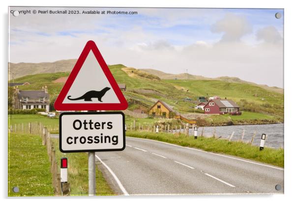 Otters Crossing Sign on Shetland Islands Acrylic by Pearl Bucknall