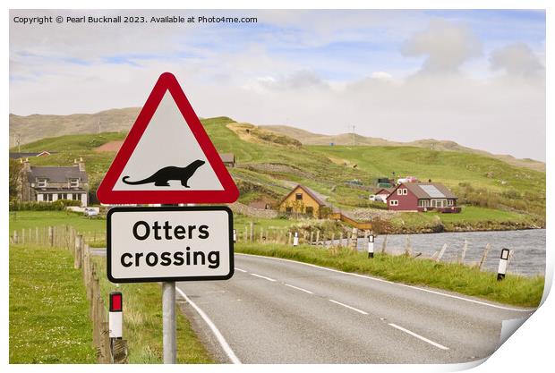 Otters Crossing Sign on Shetland Islands Print by Pearl Bucknall