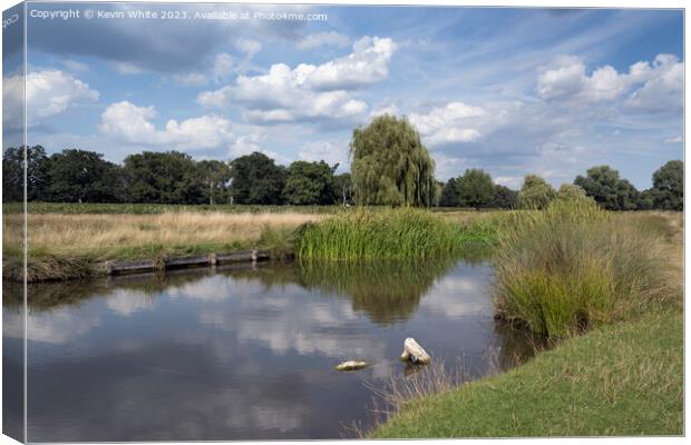Bushy Park on a sunny afternoon in August Canvas Print by Kevin White