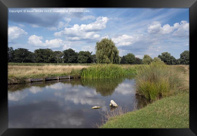 Bushy Park on a sunny afternoon in August Framed Print by Kevin White