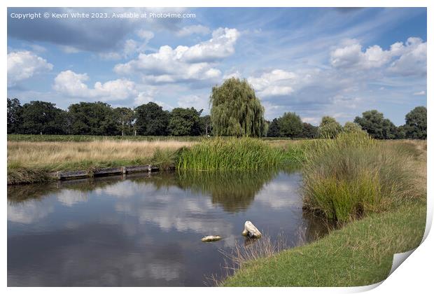 Bushy Park on a sunny afternoon in August Print by Kevin White
