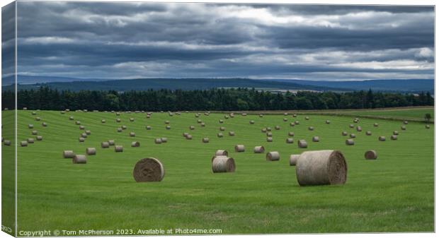 Harvest's Golden Bounty: Hay Bales in Sunlight Canvas Print by Tom McPherson