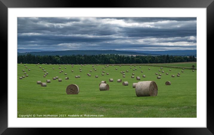 Harvest's Golden Bounty: Hay Bales in Sunlight Framed Mounted Print by Tom McPherson
