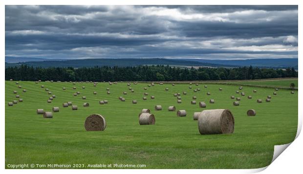 Harvest's Golden Bounty: Hay Bales in Sunlight Print by Tom McPherson