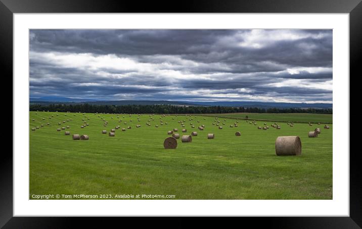 Bountiful Harvest: Sun-Kissed Hay Bales Framed Mounted Print by Tom McPherson