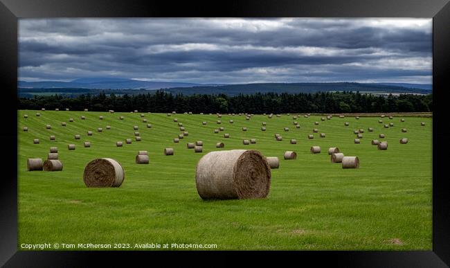 Harvested Treasures in Moray Countryside Framed Print by Tom McPherson