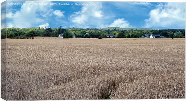 Harvest Time in Duffus Canvas Print by Tom McPherson