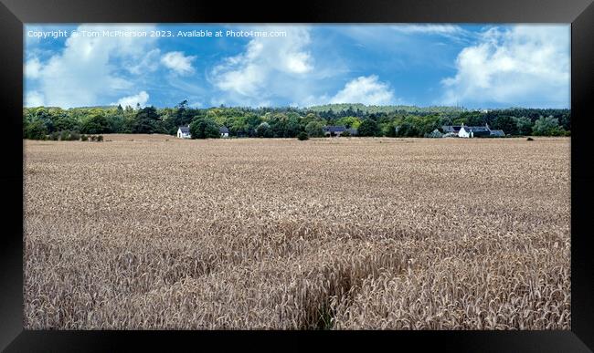 Harvest Time in Duffus Framed Print by Tom McPherson