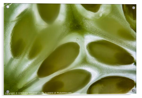 Cucumber Slice Macro Acrylic by STEPHEN THOMAS