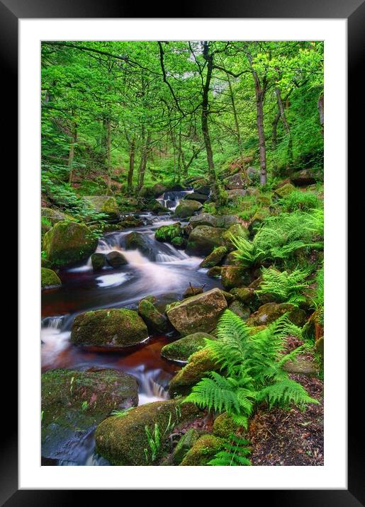 Padley Gorge  Framed Mounted Print by Darren Galpin