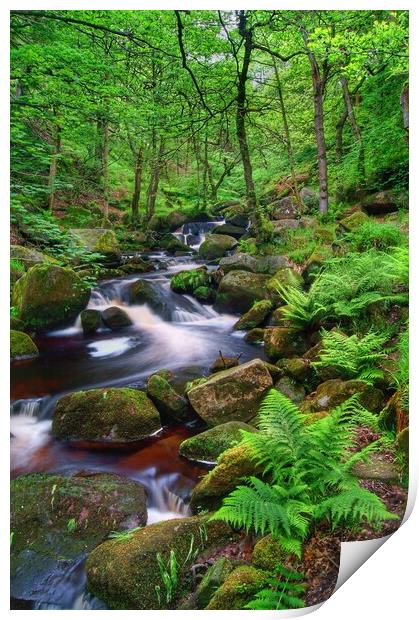 Padley Gorge  Print by Darren Galpin