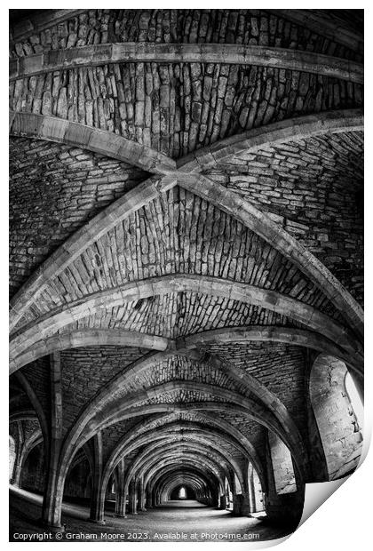 Fountains Abbey cellarium roof detail  Print by Graham Moore