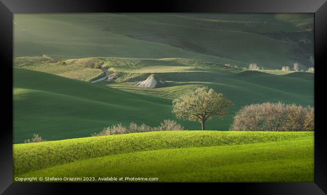 Spring in Tuscany, rolling hills and trees. Pienza, Italy Framed Print by Stefano Orazzini