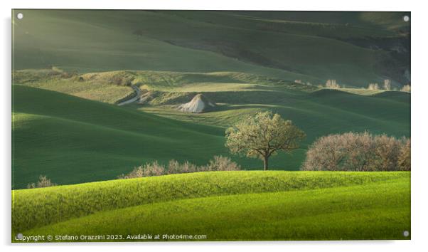 Spring in Tuscany, rolling hills and trees. Pienza, Italy Acrylic by Stefano Orazzini